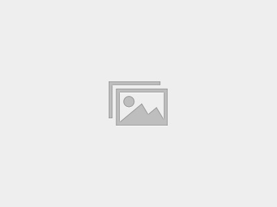 Daily Bible Videos