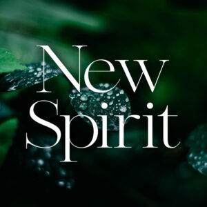 new spirit