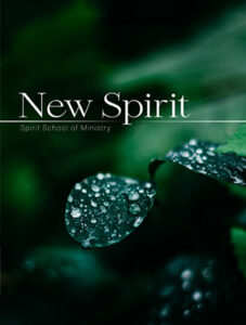 New Spirit Workbook